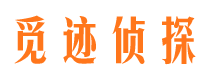 青云谱市私家侦探